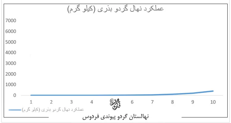 نمودار میزان عملکرد و باردهی باغ گردو بذری در 10 سال