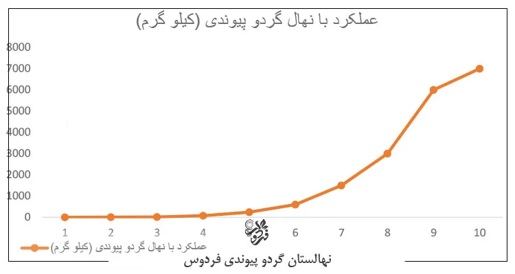 نمودار عملکرد و باردهی باغ گردو پیوندی در 10 سال اول
