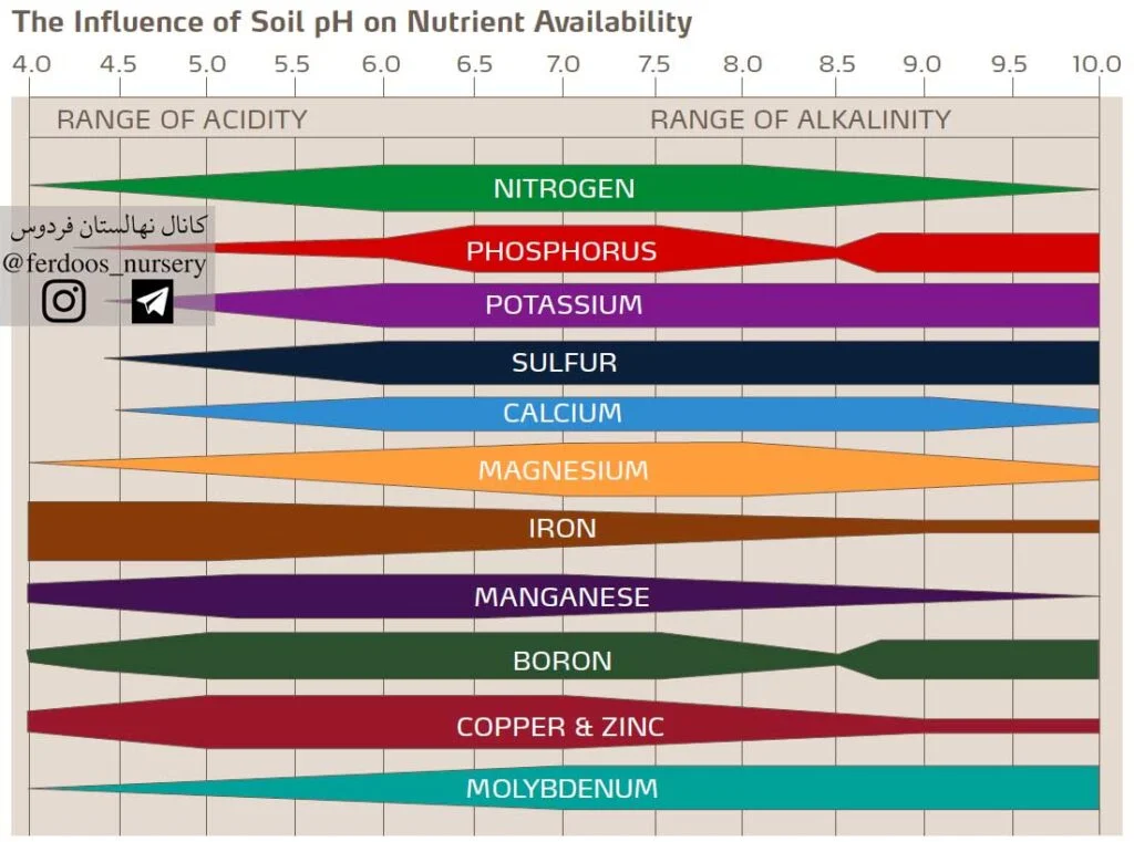محدوده جذب عناصر غذایی در pH خاک تغذیه درخت گردو